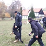 Anrebri výcvik