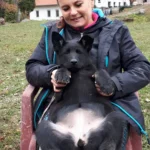 Anrebri výcvik