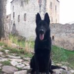 Anrebri